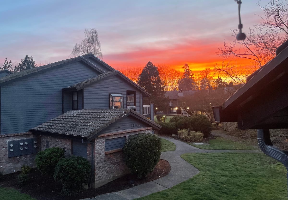 Photo: A beautiful dawn on an ordinary winter day.