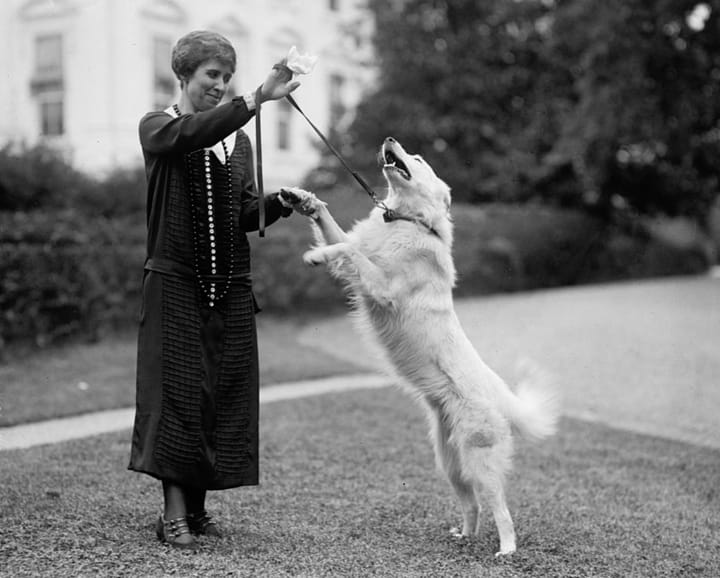 Historic Photo: First Lady Grace Coolidge with her dog, 1924.
