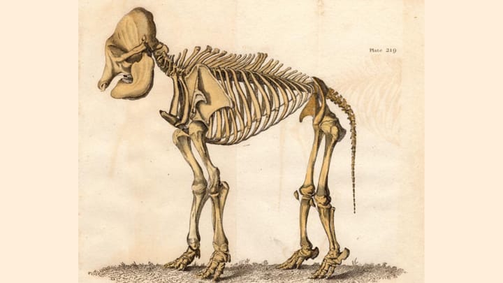 Toward a theory on the death of the Republican Party.